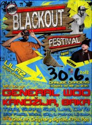 Blackout 12